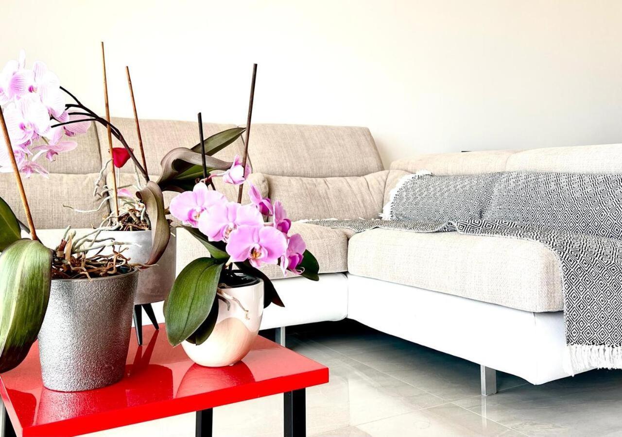 L'appaloosa De Mer-pool Tennis Parking-sea View - -capitalchic Services Sur Me *